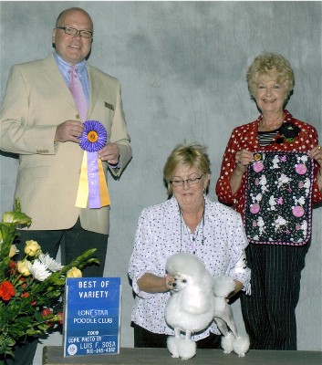 CH Darcon's Are You Sirius of Darcon Toy Poodles