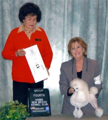 CH Darcon's Are You Sirius of Darcon Toy Poodles