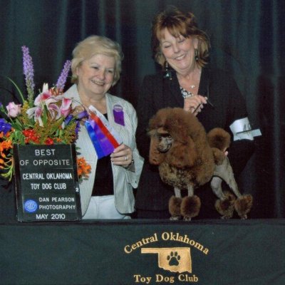 Fanci Newmont Gilded Lily Of Bricor 